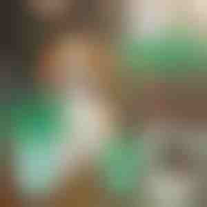 Šalica za čišćenje psećih šapa | PAWSANI