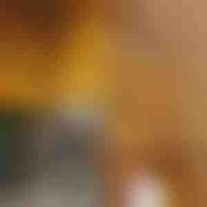 Lampice u obliku snježnih pahulja 1,8 m | LEDFLAKES