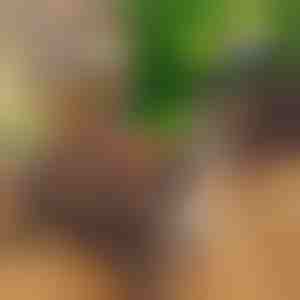 Kompaktni prijenosni sklopivi roštilj | PORTOGRILL