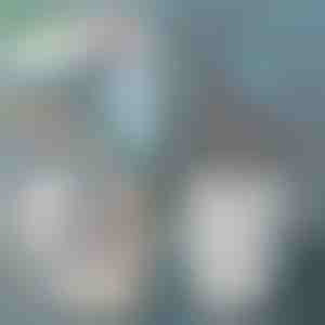 Lopatica za mačji pijesak | SCOOPY