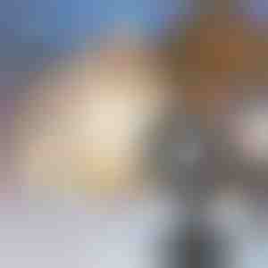 LED projektor snježnih pahuljica | SNOWLAMP