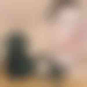 Kremasti korektor + zračni jastuk s vrhom u obliku gljive | MUSSBALM