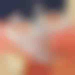 Stroj za tjesteninu | DUMPLINGPRO