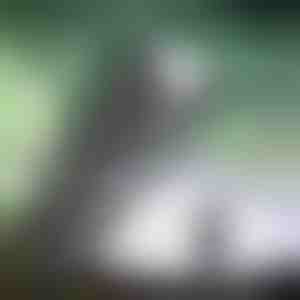 Super moćna punjiva svjetiljka | BLAZORA