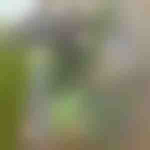 Vrtna motika za jednostavno uklanjanje korova | GRASSOE