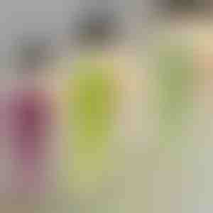 Ukrasna biljka visilica | IVYORA