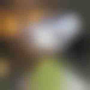 solarno svjetlo sa senzorom pokreta | LUMACAM