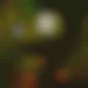 Solarne svjetiljke (6 kom) | LUMITRAD