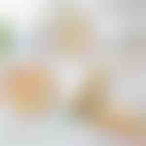 Svježi i sigurni sendviči za ponijeti | SANDWICHU