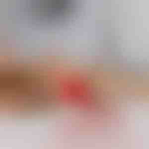 Igračka za kućne ljubimce koja se pomiče na dodir | GATOPLAY