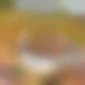 Prijenosni roštilj | GRILLSTER