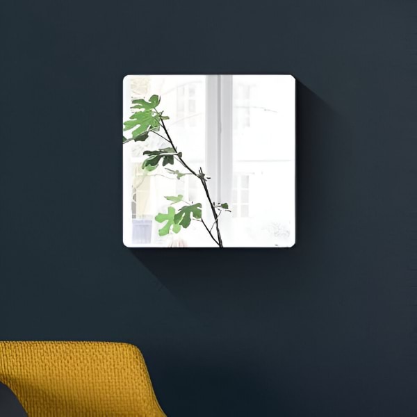 MIRRAZE14700__d1d9e000