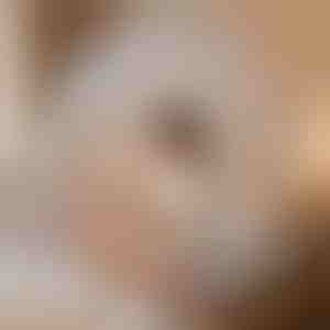 Šator za spavanje protiv komaraca koji vas štiti | BUGISTOP