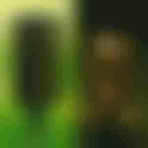 Solarna svjetiljka (2 kom.) | GARDENIAS