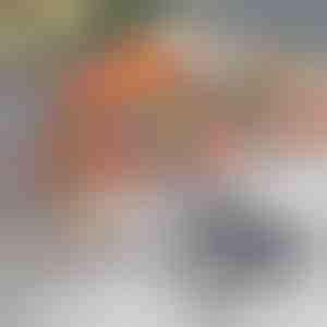 Neljepljive BBQ prostirke (2 kom) | GRILLRUN