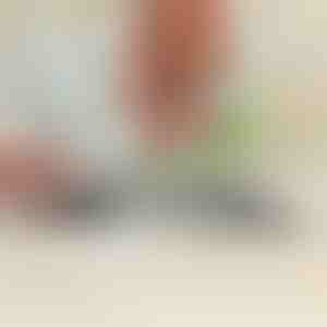 Višenamjenski oštrač za vrtni alat i kuhinjske noževe | SHARPNINJA