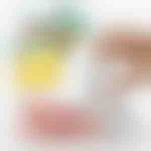 Brzi i jednostavni vakuumski aparat za hranu i zračna pumpa | QUICKSEAL