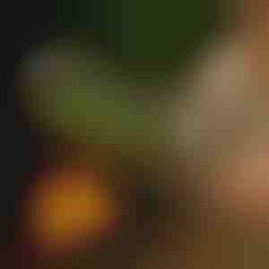 Košara za roštilj na okretanje | ROLOGRILL