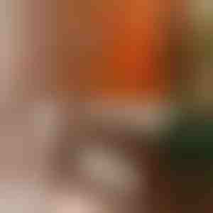 Univerzalno sredstvo za poliranje namještaja | BEEWAX