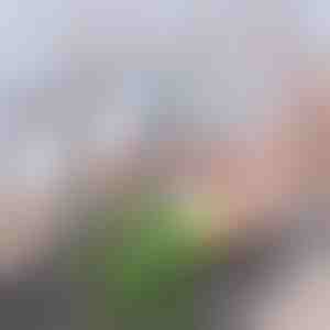 Napredni ugljični filter za slavinu | CHARFILTER