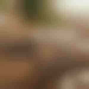 Magnetni samoljepljivi organizator kabela | CABLIP