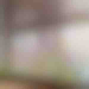 Živahna cvjetna naljepnica za prozor | FLORASTIK