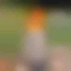 Prijenosno stolno ognjište bez dima | FIRENOVA