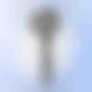 Multifunkcionalni masažni tuš | SHOWERELAX