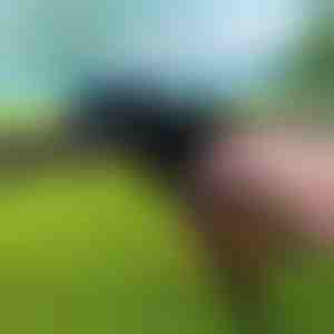 Alat za čvrste vezice | ZIPFLEX