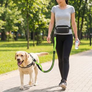 Prestanite vući, ostanite pod kontrolom - hands-free povodac za pse / DOGZIP